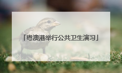 粤澳港举行公共卫生演习