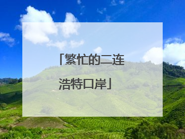 繁忙的二连浩特口岸