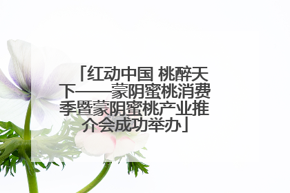 红动中国 桃醉天下——蒙阴蜜桃消费季暨蒙阴蜜桃产业推介会成功举办