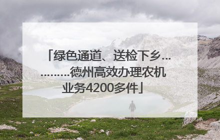 绿色通道、送检下乡…………德州高效办理农机业务4200多件