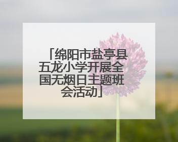 绵阳市盐亭县五龙小学开展全国无烟日主题班会活动