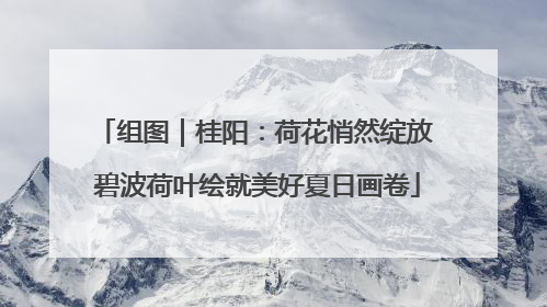 组图｜桂阳：荷花悄然绽放 碧波荷叶绘就美好夏日画卷