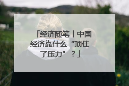 经济随笔丨中国经济靠什么“顶住了压力”？