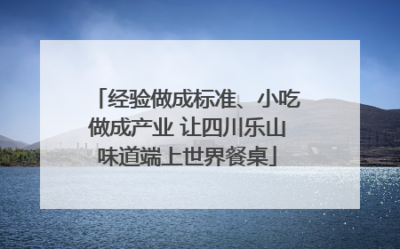 经验做成标准、小吃做成产业 让四川乐山味道端上世界餐桌