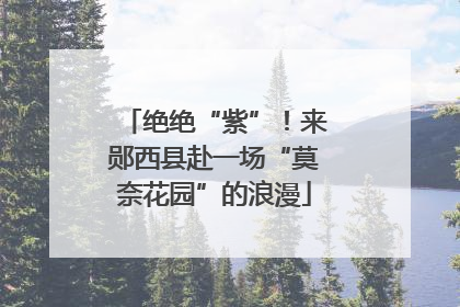 绝绝“紫”！来郧西县赴一场“莫奈花园”的浪漫