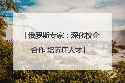 俄罗斯专家：深化校企合作 培养IT人才