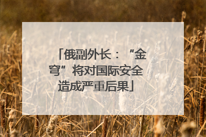 俄副外长：“金穹”将对国际安全造成严重后果