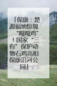 保康：楚源福地惊现“嘎嘎鸡”！国家“三有”保护动物石鸡亮相保康沿河公园