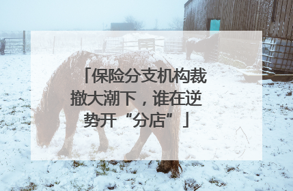 保险分支机构裁撤大潮下，谁在逆势开“分店”