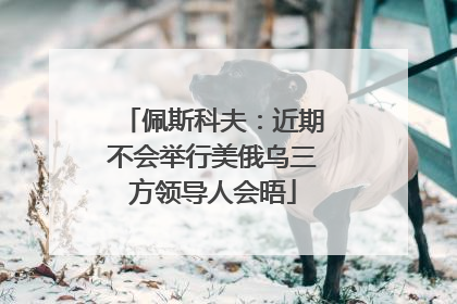 佩斯科夫：近期不会举行美俄乌三方领导人会晤