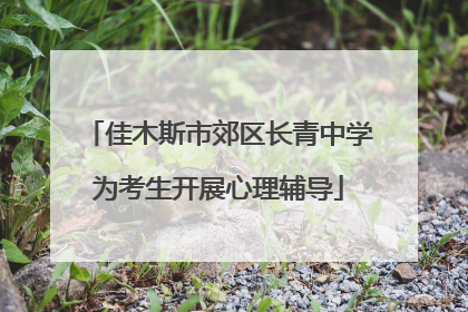 佳木斯市郊区长青中学为考生开展心理辅导