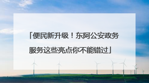 便民新升级！东阿公安政务服务这些亮点你不能错过