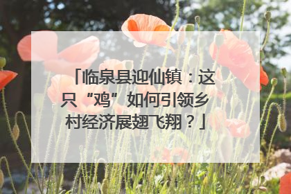 临泉县迎仙镇：这只“鸡”如何引领乡村经济展翅飞翔？
