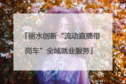 丽水创新“流动直播带岗车”全域就业服务