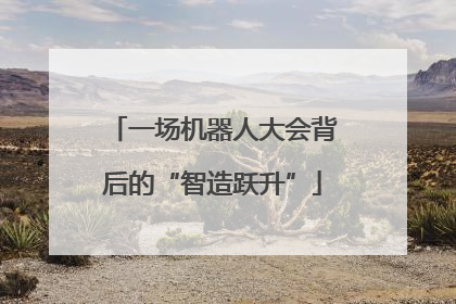 一场机器人大会背后的“智造跃升”