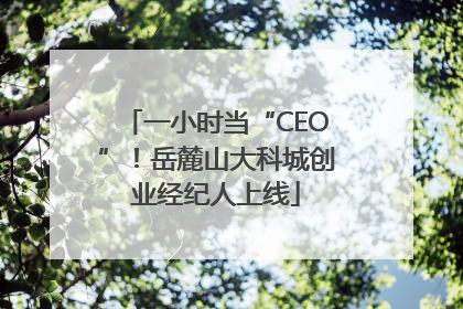一小时当“CEO”！岳麓山大科城创业经纪人上线