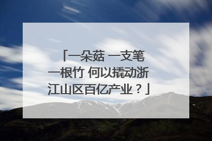 一朵菇 一支笔 一根竹 何以撬动浙江山区百亿产业？