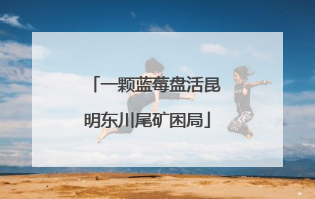 一颗蓝莓盘活昆明东川尾矿困局