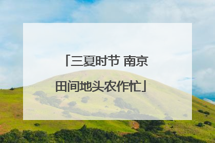 三夏时节 南京田间地头农作忙