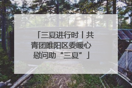 三夏进行时丨共青团睢阳区委暖心慰问助“三夏”