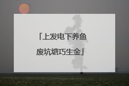 上发电下养鱼 废坑塘巧生金