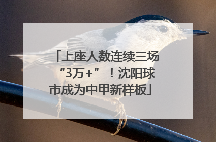 上座人数连续三场“3万+”！沈阳球市成为中甲新样板