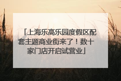 上海乐高乐园度假区配套主题商业街来了！数十家门店开启试营业