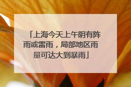 上海今天上午阴有阵雨或雷雨，局部地区雨量可达大到暴雨