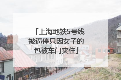 上海地铁5号线被逼停只因女子的包被车门夹住