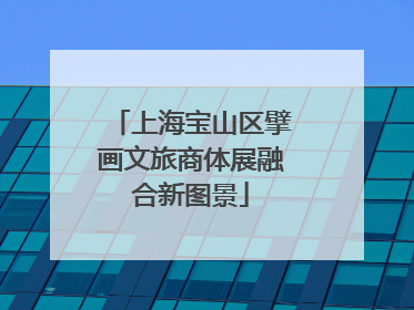 上海宝山区擘画文旅商体展融合新图景