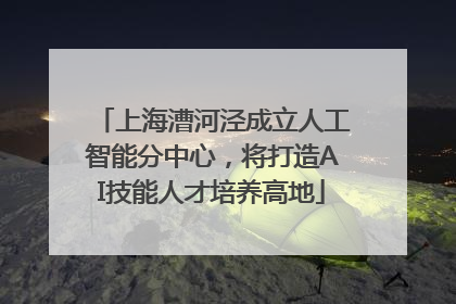 上海漕河泾成立人工智能分中心，将打造AI技能人才培养高地