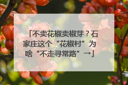不卖花椒卖椒芽？石家庄这个“花椒村”为啥“不走寻常路”→