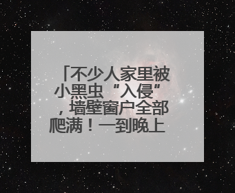 不少人家里被小黑虫“入侵”，墙壁窗户全部爬满！一到晚上更严重，还有一股臭味