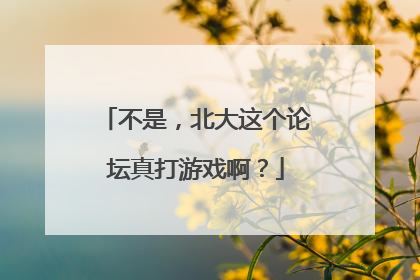不是，北大这个论坛真打游戏啊？