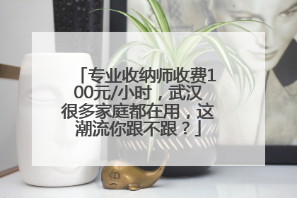 专业收纳师收费100元/小时，武汉很多家庭都在用，这潮流你跟不跟？