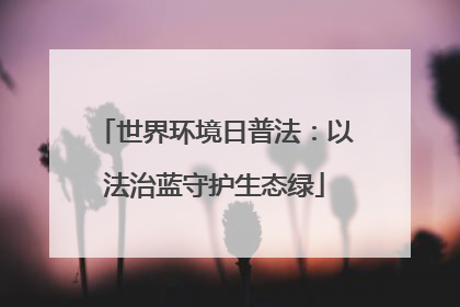 世界环境日普法：以法治蓝守护生态绿