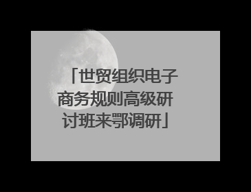 世贸组织电子商务规则高级研讨班来鄂调研