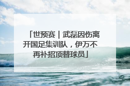世预赛｜武磊因伤离开国足集训队，伊万不再补招顶替球员