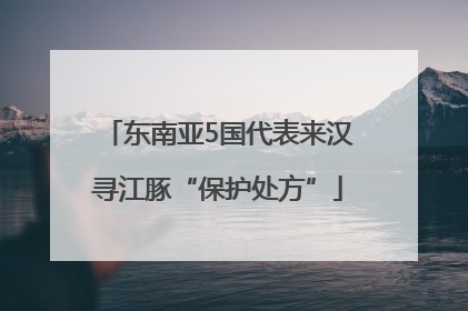 东南亚5国代表来汉寻江豚“保护处方”
