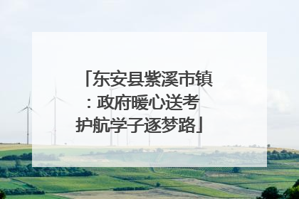 东安县紫溪市镇：政府暖心送考 护航学子逐梦路