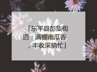 东平县彭集街道：满棚南瓜香，丰收采摘忙