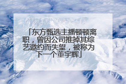 东方甄选主播顿顿离职，曾因公司推掉其综艺邀约而失望，被称为下一个董宇辉