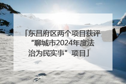 东昌府区两个项目获评“聊城市2024年度法治为民实事”项目