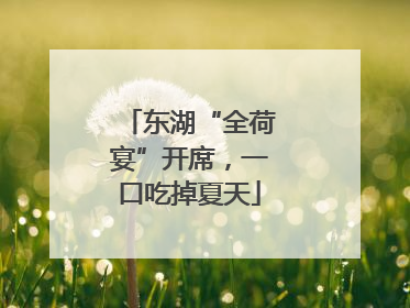 东湖“全荷宴”开席，一口吃掉夏天
