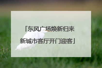东风广场焕新归来 新城市客厅开门迎客