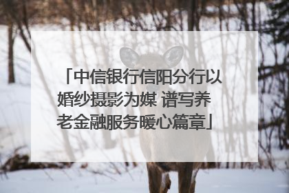中信银行信阳分行以婚纱摄影为媒 谱写养老金融服务暖心篇章