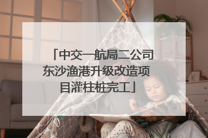 中交一航局二公司东沙渔港升级改造项目灌柱桩完工