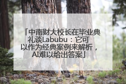 中南财大校长在毕业典礼谈Labubu：它可以作为经典案例来解析，AI难以给出答案