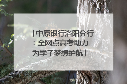 中原银行洛阳分行：全网点高考助力 为学子梦想护航
