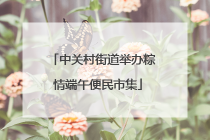 中关村街道举办粽情端午便民市集